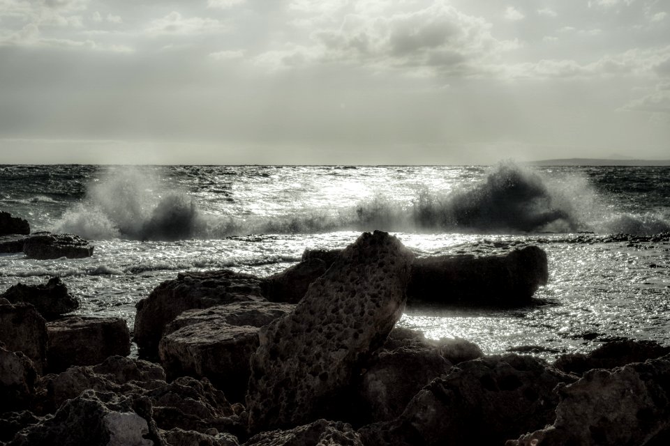 Sea Wave Ocean Shore