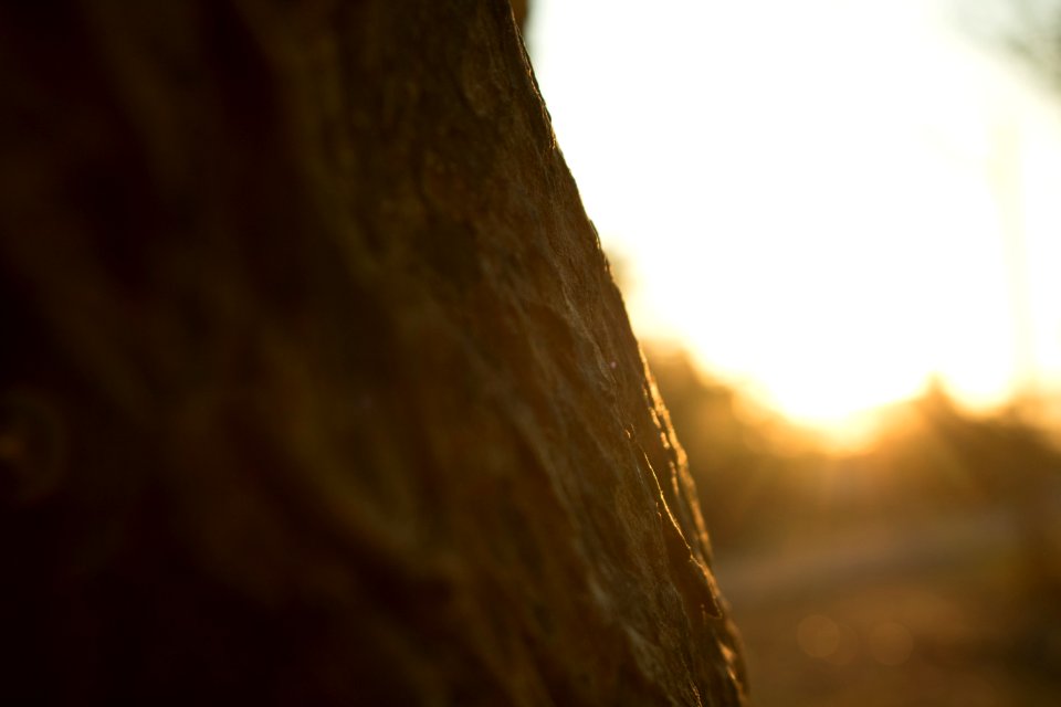 Light Sky Sunlight Sun