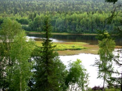Ecosystem Nature Reserve Wilderness Vegetation