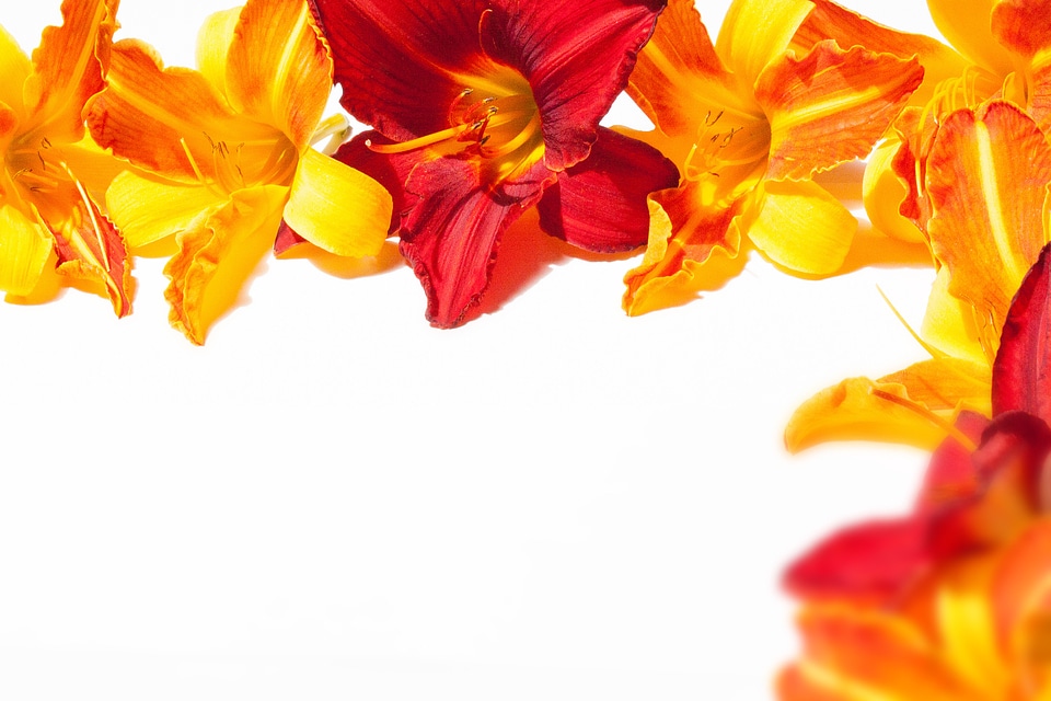 Stationery background greeting card
