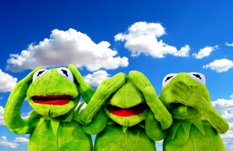 Green Stuffed Toy Plush Sky