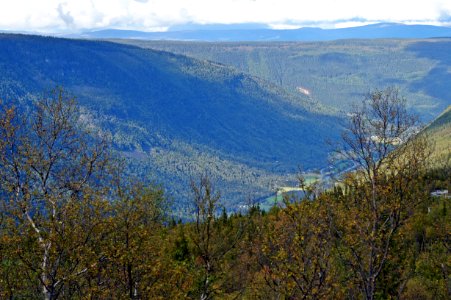 Wilderness Ridge Mountain Ecosystem photo