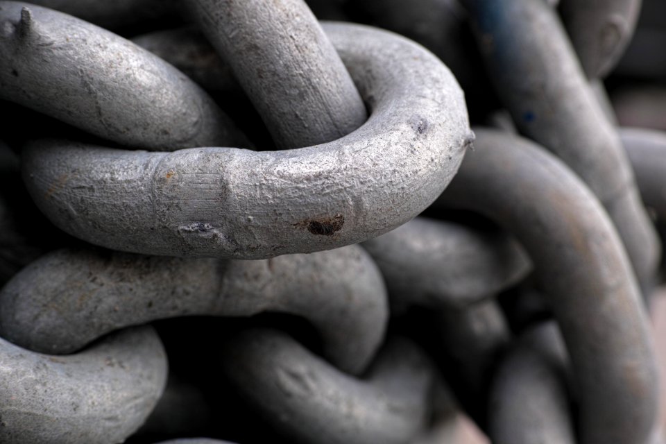 Close Up Metal Hand Organism
