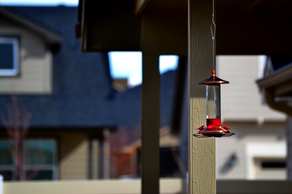 Selective Focus Photography Of Hanging Decor