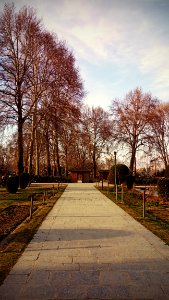 Photography Of A Park