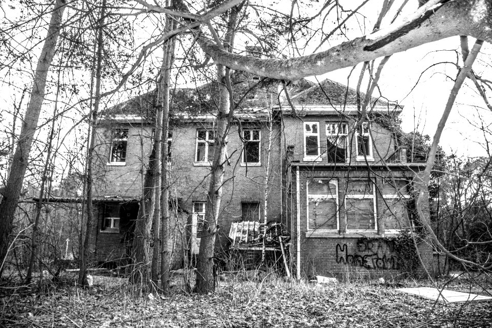 House Surrounded With Trees On Grayscale Photography
