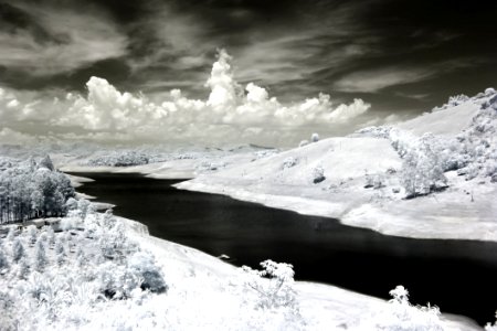 Snow Covered Trees Photo photo