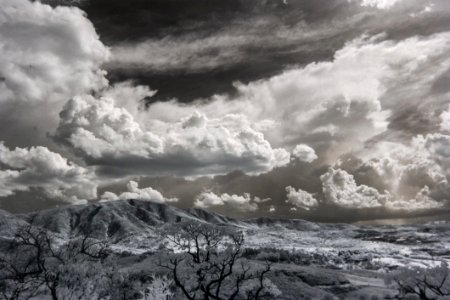 Snow Covered Trees Under Cumulonimbus Clouds photo