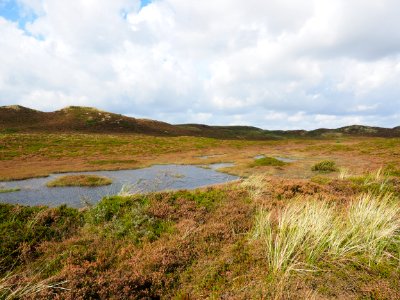 Grassland Ecosystem Nature Reserve Loch photo