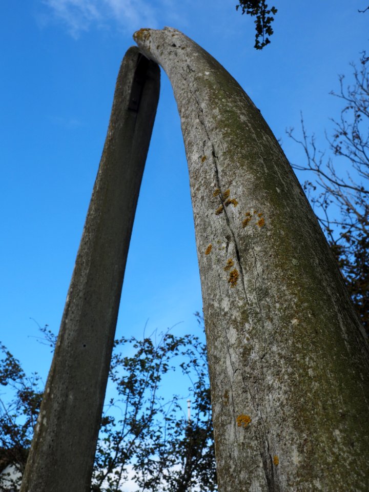 Tree Sky Arch Monument