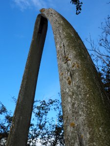 Tree Sky Arch Monument