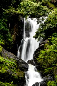 Waterfall Water Nature Vegetation photo