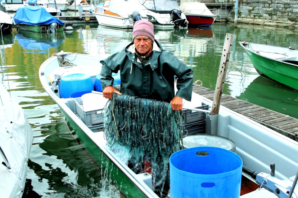 Water Water Transportation Vertebrate Boat