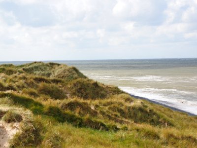 Coast Shore Ecosystem Headland photo