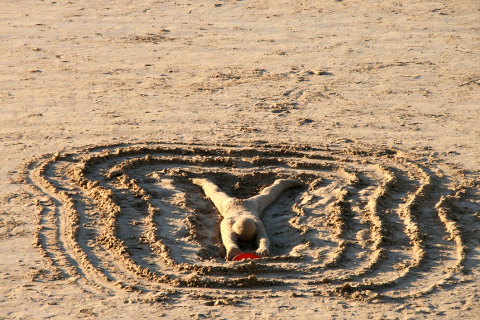 Sand Mudflat Soil Ecoregion