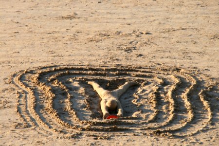 Sand Mudflat Soil Ecoregion