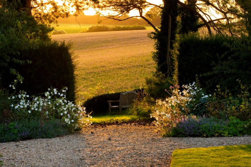 Nature Grass Leaf Garden