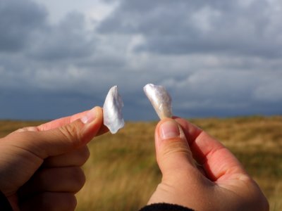 Hand Sky Finger
