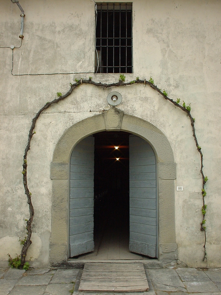 Detail architecture doors