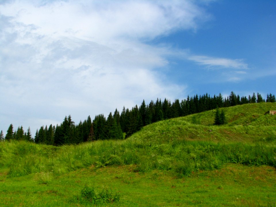 Grassland Sky Ecosystem Highland
