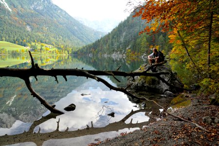 Water Wilderness Leaf Reflection photo