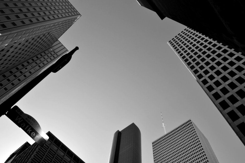 Skyscraper Daytime Building Black And White photo