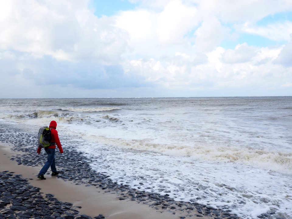 Sea Beach Shore Coast