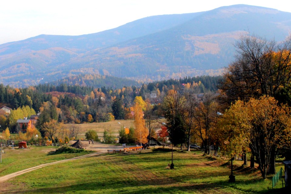 Nature Leaf Wilderness Autumn