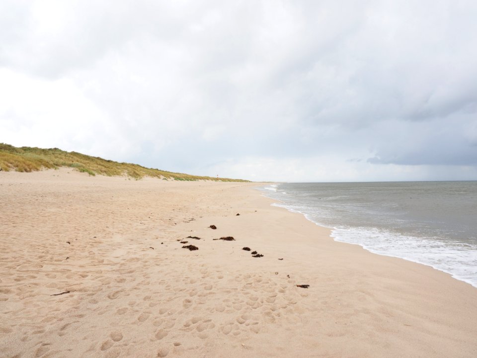 Beach Sea Body Of Water Shore