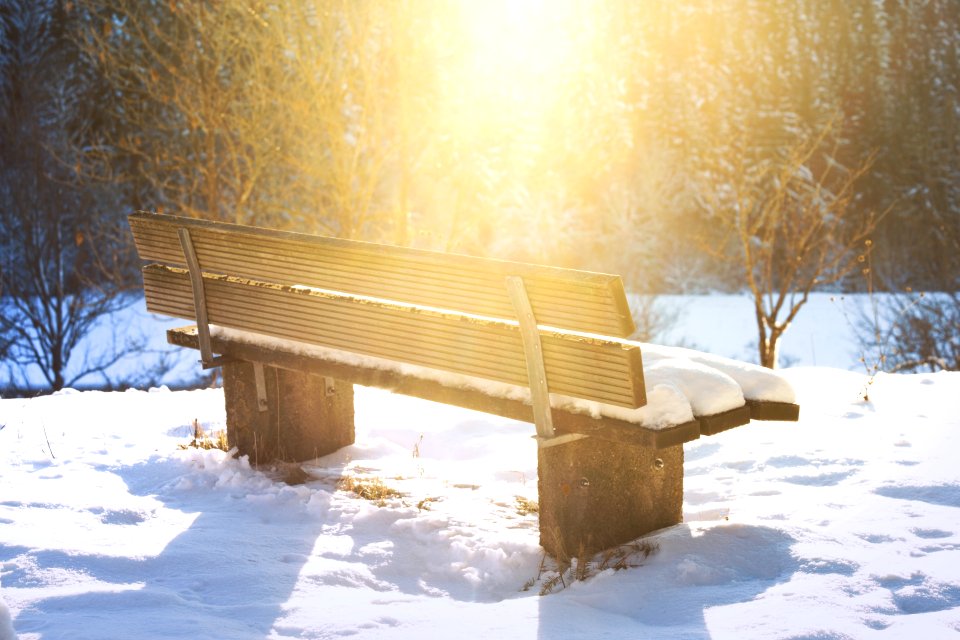 Snow Winter Freezing Wood