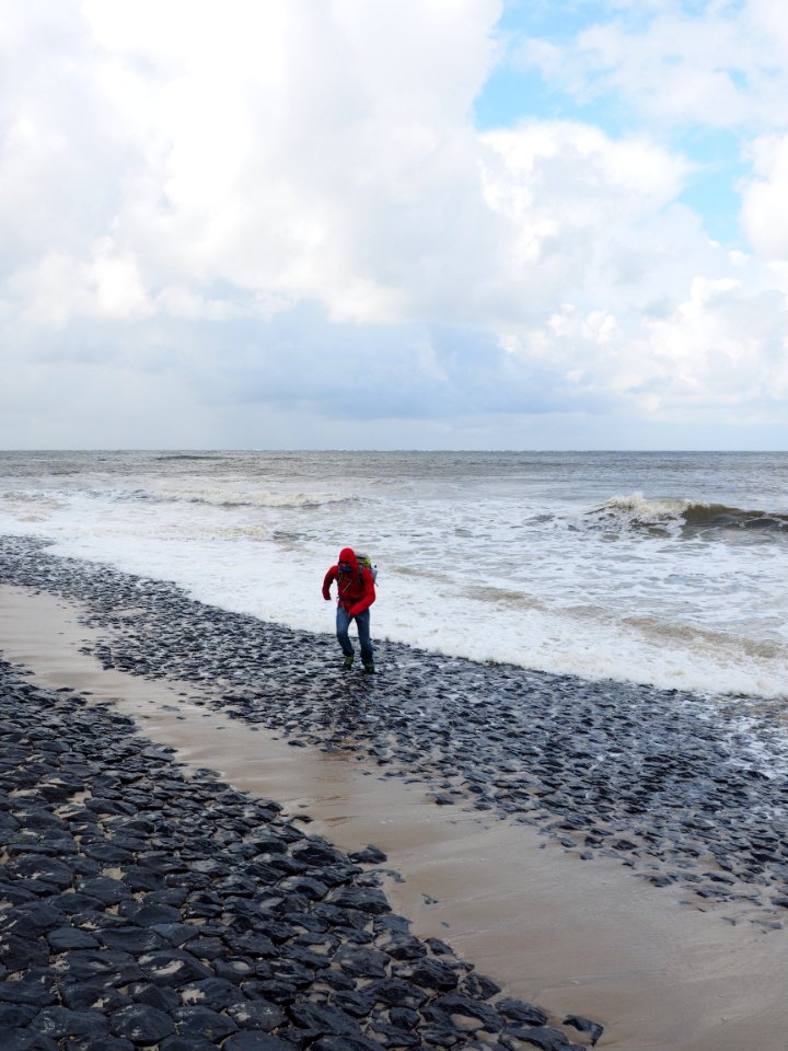 Sea Beach Body Of Water Coast