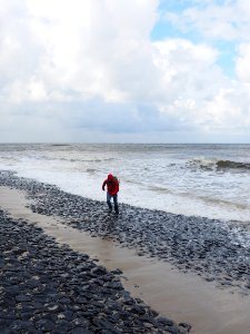 Sea Beach Body Of Water Coast