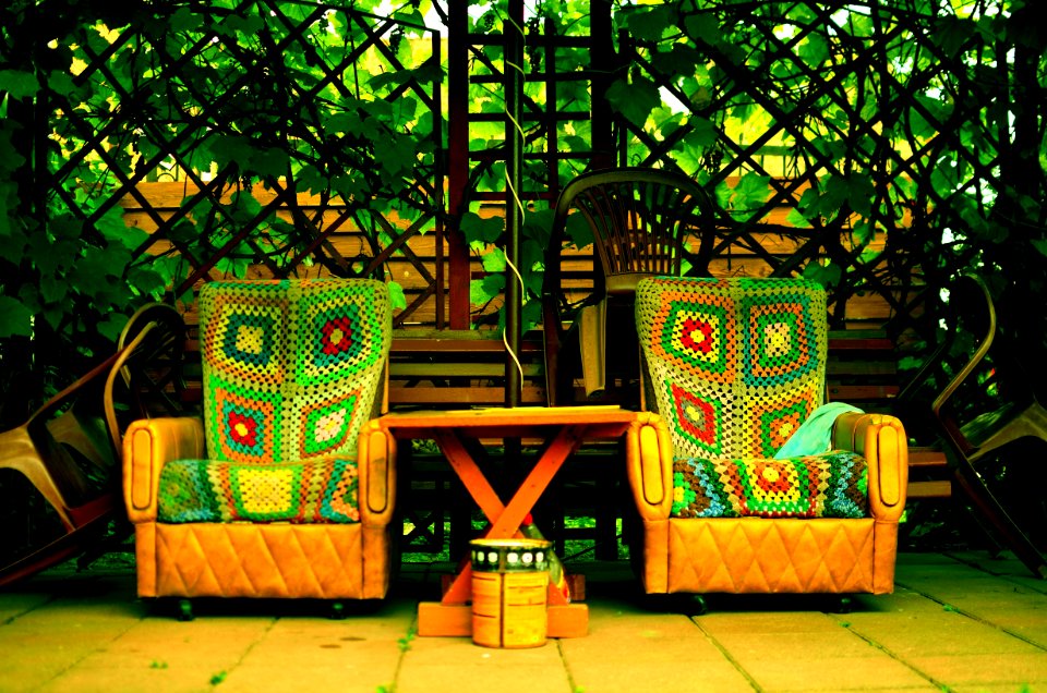 Green Yellow Plant Tree