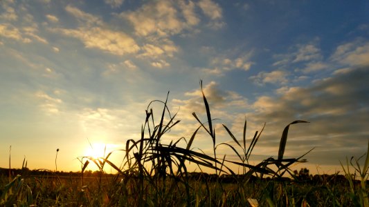 Sky Field Ecosystem Cloud photo