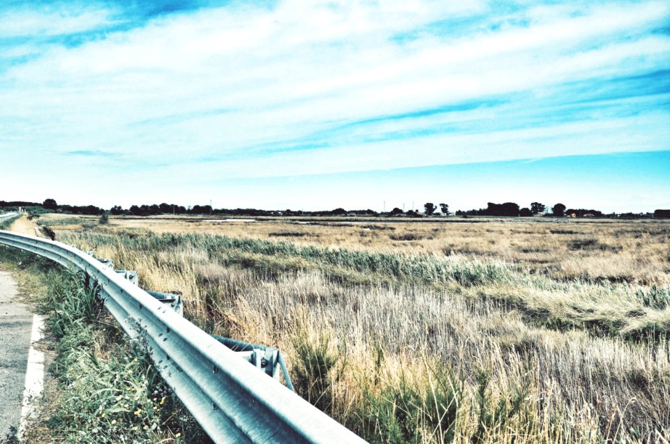 Photo Of Road Railing Near Grasses