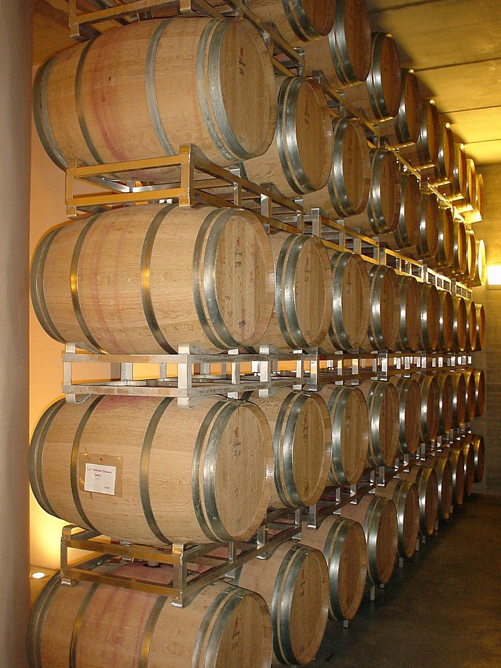 Wine cellar wine barrels tuscany