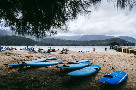 Blue Surfboards On Shore photo