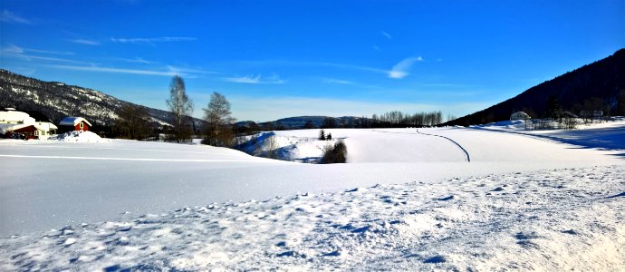 Photo Of Snow Near Tress photo