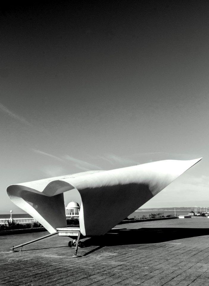 Grayscale Photo Attraction Park