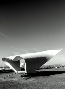 Grayscale Photo Attraction Park