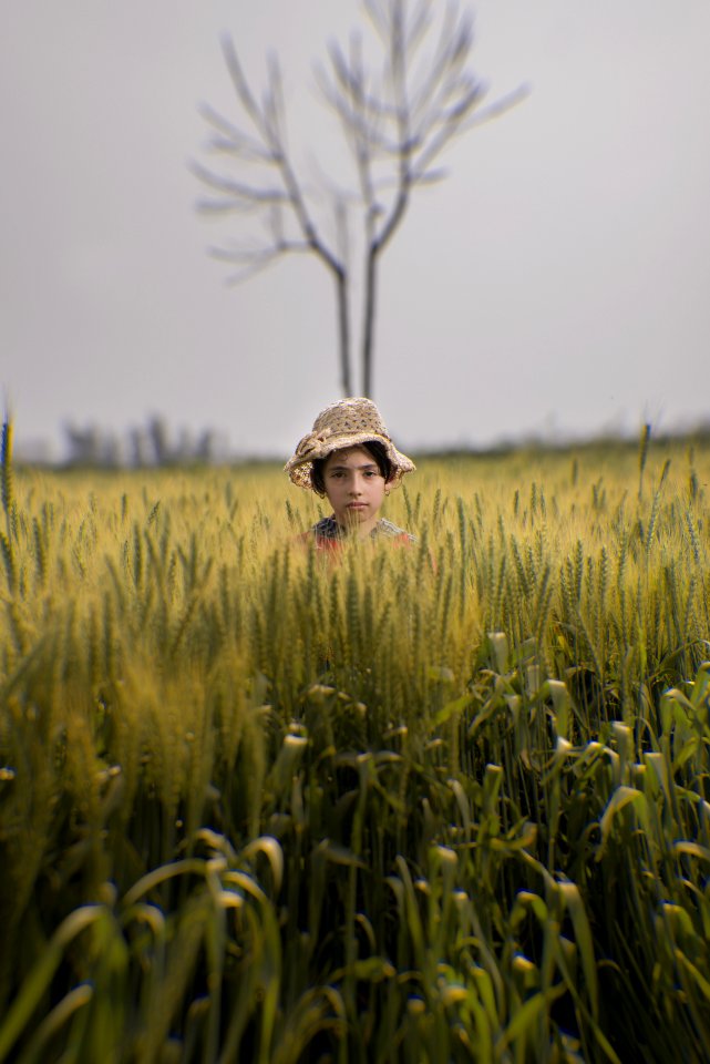 Toddler Wearing Brown Hat In The Middle Of Green Field