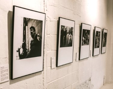 Five Assorted Grayscale Posters On White Concrete Wall