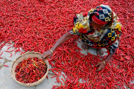 Woman Sitting On Floor Of Red Chili photo