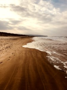 Empty Brown Sand Seashore photo
