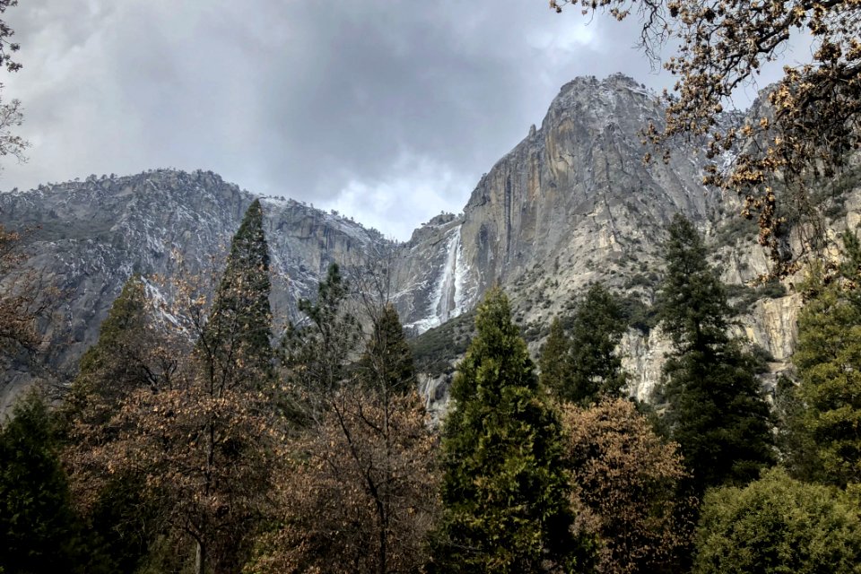 Landscape Photography Of Forest Under Mountains