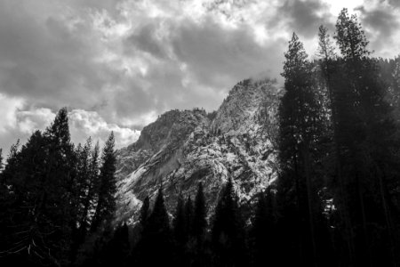 Grayscale Photography Of Trees And Mountains Under Cloudy Sky photo