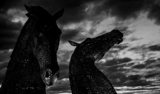 Grayscale Photography Of Two Horse Statues photo