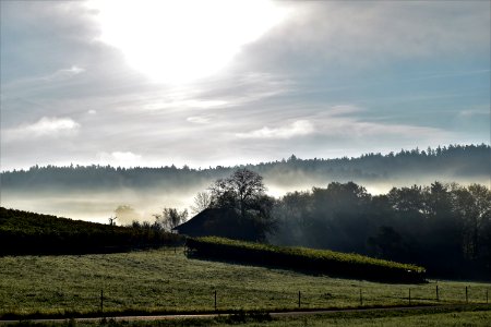 Sky Mist Highland Field photo