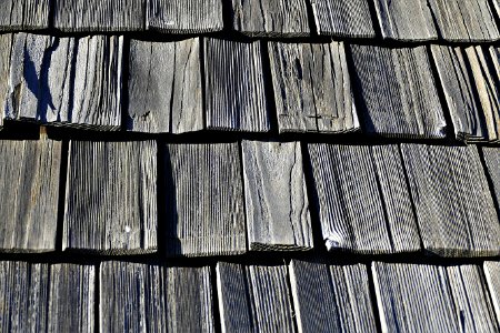 Black And White Wood Structure Pattern photo