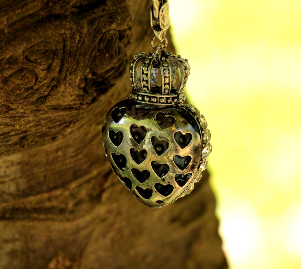 Locket Macro Photography Jewellery